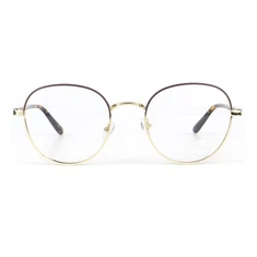 संयुक्त ऑप्टिकल फ़्रेम